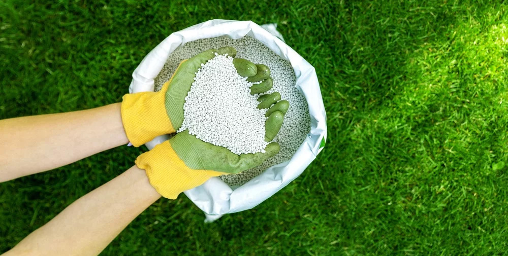 Planten Verzorging Winkel -Planten Verzorging Winkel 2
