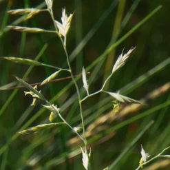 Triferto Kali 60% - 25kg