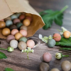 Blossombs Kraft Zak Zaadbolletjes MIX -Planten Verzorging Winkel image 239