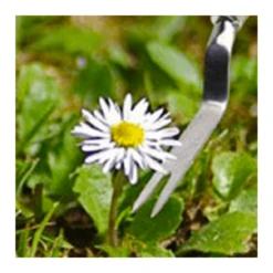 Burgon & Ball RHS Onkruidsteker - Plat -Planten Verzorging Winkel image 310