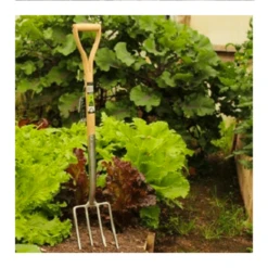 Burgon & Ball RHS Spitvork 4 Tanden -Planten Verzorging Winkel image 318