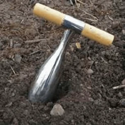 De Wiltfang RHS Pootstok -Planten Verzorging Winkel image 358