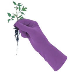 De Wiltfang Foxgloves Original -Planten Verzorging Winkel image 361