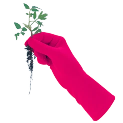 De Wiltfang Foxgloves Original -Planten Verzorging Winkel image 362