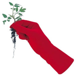 De Wiltfang Foxgloves Original -Planten Verzorging Winkel image 364