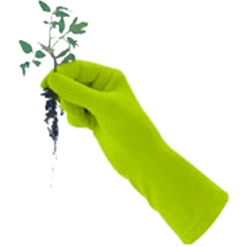 De Wiltfang Foxgloves Original -Planten Verzorging Winkel image 365