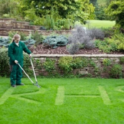 De Wiltfang Grasschaar Vlak, Loopmodel -Planten Verzorging Winkel image 372