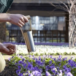 De Wiltfang RHS Bollenpriem, Handmodel -Planten Verzorging Winkel image 376
