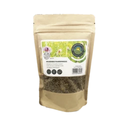 Blossombs Doe-het-zelf! Giftbox Xmas