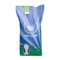 De Wiltfang Foxgloves Works Rood